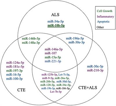 MicroRNA Alterations in Chronic Traumatic Encephalopathy and Amyotrophic Lateral Sclerosis